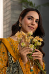 Khaddar Cutwork Dupatta D-4