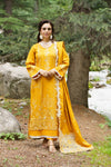 Pakeezah D-01