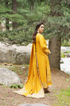 Pakeezah D-01