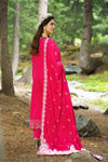 Pakeezah D-03