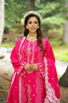 Pakeezah D-03